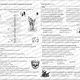 Literatura - pracovní listy s řešením 5