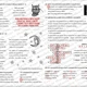 Literatura - pracovní listy s řešením 7