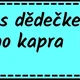 OPRAV CHYBNÉ VĚTY 6