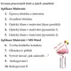 Soubor úkolů z MS Word a aplikace Malování 2