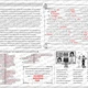 POEZIE - pracovní listy s řešením 5