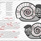 POEZIE - pracovní listy s řešením 9