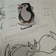 Polární zvířata 1. třída matematika + - do 8 3