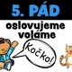 PÁDOVÉ OTÁZKY s kočkou 2