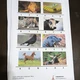 Puzzle zvířata písmena 4