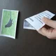 Soubor aktivit naše ptactvo 10