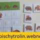 Lesní zvířata (sada aktivit v pdf) 3