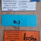Slova příbuzná - kolíčky - přijímací zkoušky čj  8