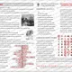 LITERÁRNÍ SMĚRY V KOSTCE (POEZIE, vše s řešením) 5