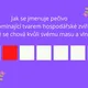 Velikonoční prezentace 6