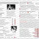 LITERÁRNÍ SMĚRY V KOSTCE (POEZIE, vše s řešením) 6