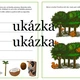 Pracovní listy a pomůcky k rozvoji řeči 3
