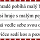 Která věta je pravdivá? - čtení s porozuměním 3