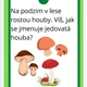 PRÁZDNINOVÁ STEZKA- PRŮZKUMNÍCI  V PŘÍRODĚ -MŠ -mladší 4