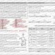 INTERPUNKCE mezi větami - S ŘEŠENÍM 2