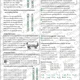 Interpunkce: Samostatný větný člen (vše s řešením) 8