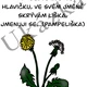 Nápadník aktivit-jarní květiny 3