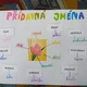 Přídavná jména 4