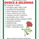 Soubor aktivit OVOCE A ZELENINA 2