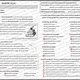INTERPUNKCE: Věta jednoduchá (vše s ŘEŠENÍM) 2