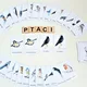TŘÍSLOŽKOVÉ KARTY PTÁCI 3