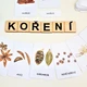 Třísložkové karty KOŘENÍ 3