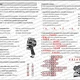 INTERPUNKCE: Věta jednoduchá (vše s ŘEŠENÍM) 3