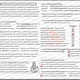 INTERPUNKCE: Věta jednoduchá (vše s ŘEŠENÍM) 4