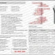 INTERPUNKCE: Věta jednoduchá (vše s ŘEŠENÍM) 6