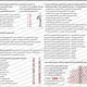 INTERPUNKCE: Věta jednoduchá (vše s ŘEŠENÍM) 8