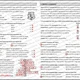 INTERPUNKCE: Věta jednoduchá (vše s ŘEŠENÍM) 9