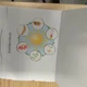 ROSTLINY FLIPBOOK 2