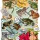 ZNALEC PŘÍRODY (STEZKA PRO DĚTI) - PDF soubor 5