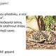 Hádej, kdo jsem! Zvířata Afriky 2