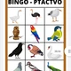 Soubor aktivit PTÁČCI 8