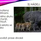 Hádej, kdo jsem! Zvířata ČR 3