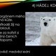 Hádej, kdo jsem! Zvířata letem světem 3