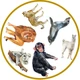 POSTŘEHOVKA ZVÍŘATA ZE ZOO 2