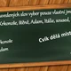 Co na to žáci? Ohebné slovní druhy 4