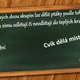Co na to žáci? Ptáci 4