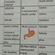 Lidské tělo - kvíz 3