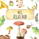 MŮJ ATLAS HUB 5
