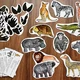 VELKÝ ÚTĚK ZE ZOO /pátrací hra/ 4