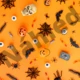 Halloween ve školce 3