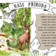 NAŠE PŘÍRODA - Pracovní listy 2
