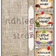 NAŠE PŘÍRODA - složka do lapbooku, sešitu, brožura 2