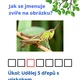 Stezka - příroda 3