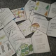 Domečky - písničky a říkadla PODZIM 6