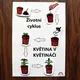 ŽIVOTNÍ CYKLY - STÍNY /motýl, žába, rostlina/ 4