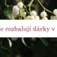 Vánoční kvíz (editovatelný) 3